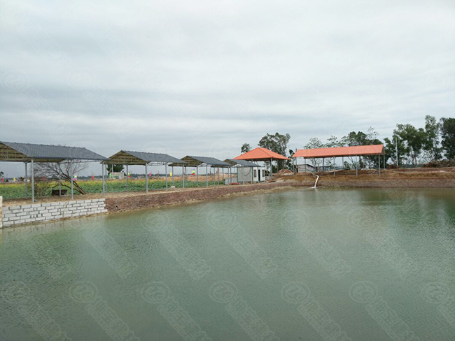 樹脂瓦休閑亭構建“歡樂魚塘”，垂釣烤魚忙不停！