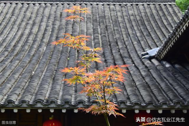 導(dǎo)讀：農(nóng)村蓋房用樹脂瓦適合嗎？聽完行家的分析，恍然大悟